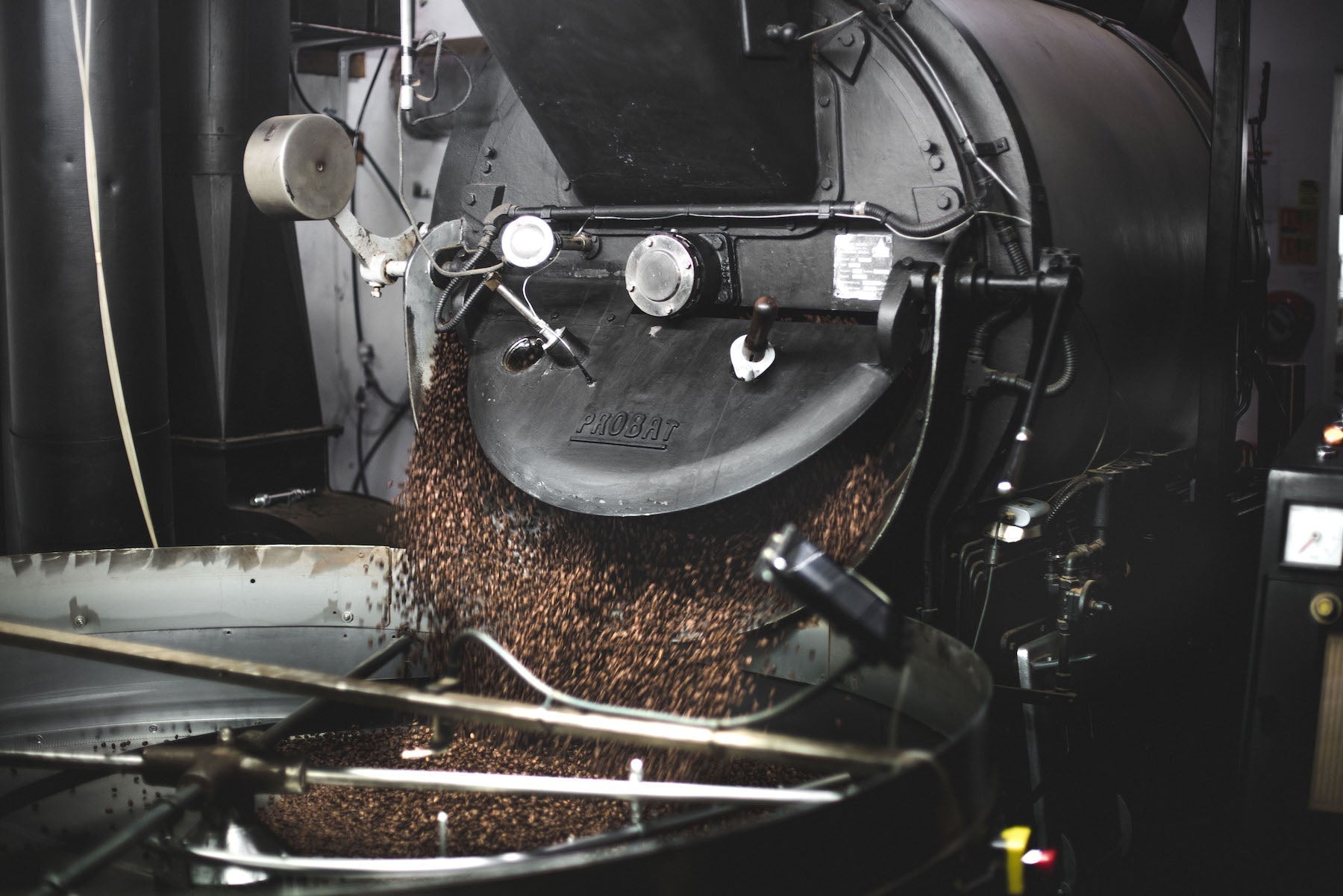 Why we don't use 'light medium and dark' roast at Wogan Coffee